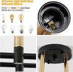 Ceiling Light - Black & Gold Metal Frame