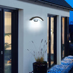 Wall Light - U-Shaped, Black Metal Frame, White Light
