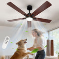 Ceiling Light - Black Wood Frame, Tunable and Dimmable