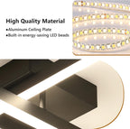 Ceiling Light - Black Acrylic Frame, Tunable and Dimmable
