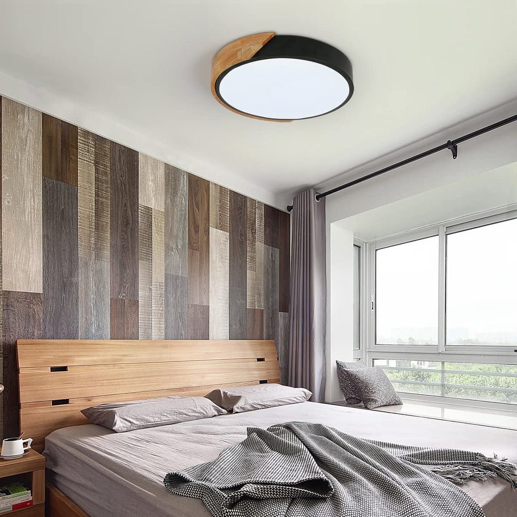 Ceiling Light - Black Metal Frame, White Light