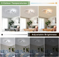 Ceiling Light - White Acrylic Frame, Tunable and Dimmable