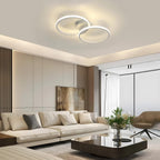 Ceiling Light - White Aluminium Frame, Natural Light