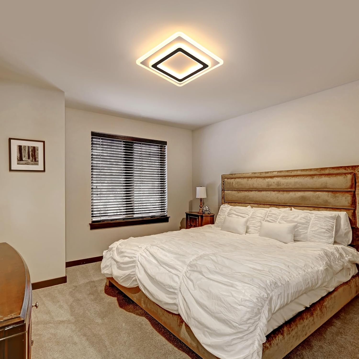 Ceiling Light - Black & White Acrylic Frame, Warm Light