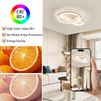 Ceiling Light - White Acrylic Frame, Tunable and Dimmable