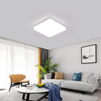 Ceiling Light - White Plastic Frame, White Light
