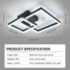 Ceiling Light - Black Acrylic Frame, White Light
