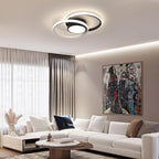 Ceiling Light - Black & White Metal Frame, Natural Light