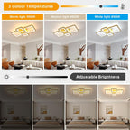 Ceiling Light - Gold Acrylic Frame, Tunable and Dimmable