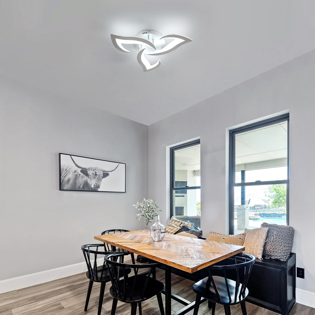 Ceiling Light - White Acrylic Frame, White Light