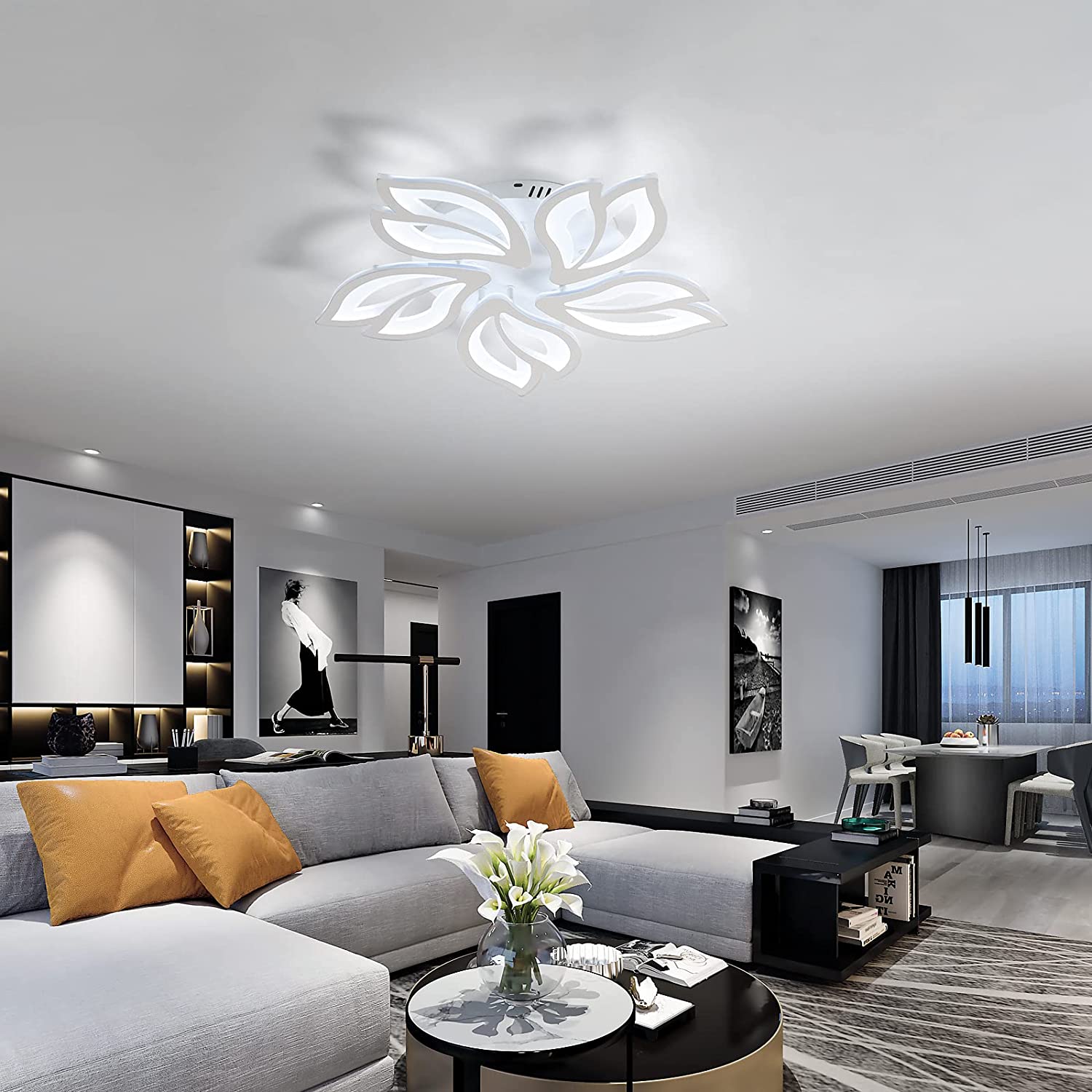 Ceiling Light - White Acrylic Frame, White Light