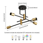 Ceiling Light - Black & Gold Metal Frame