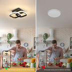 Ceiling Light - Black Aluminium Frame, Warm Light
